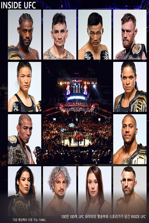 인사이드 UFC电影海报