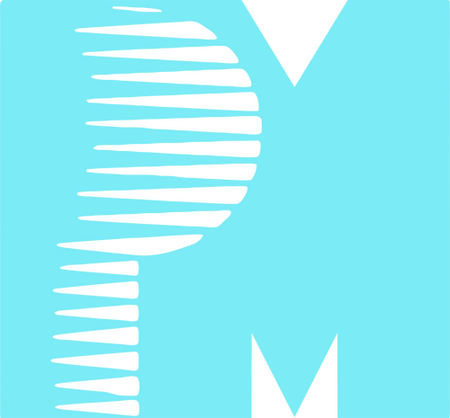 PM Entertainment Group Logo