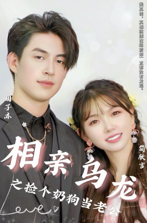 相亲乌龙之捡个奶狗当老公海报