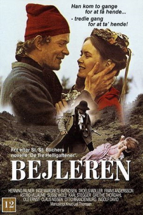 Bejleren - en jysk røverhistorie poster 2