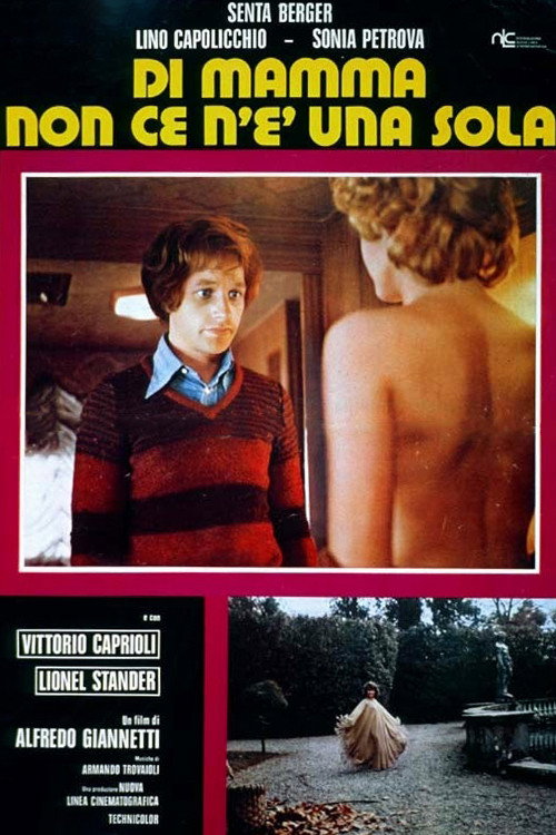 Di mamma non ce n'è una sola poster 2
