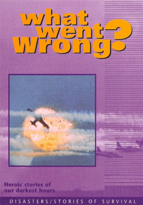 What Went Wrong电影海报