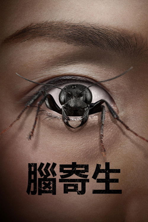 控制狂电影海报