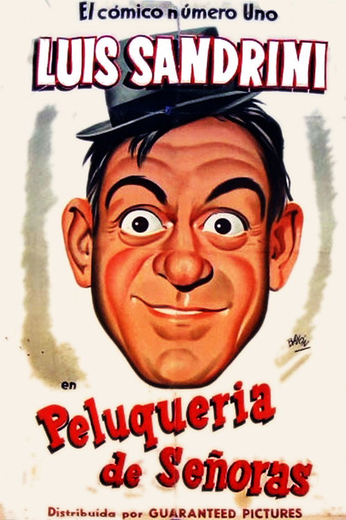Peluquería de señoras poster 5