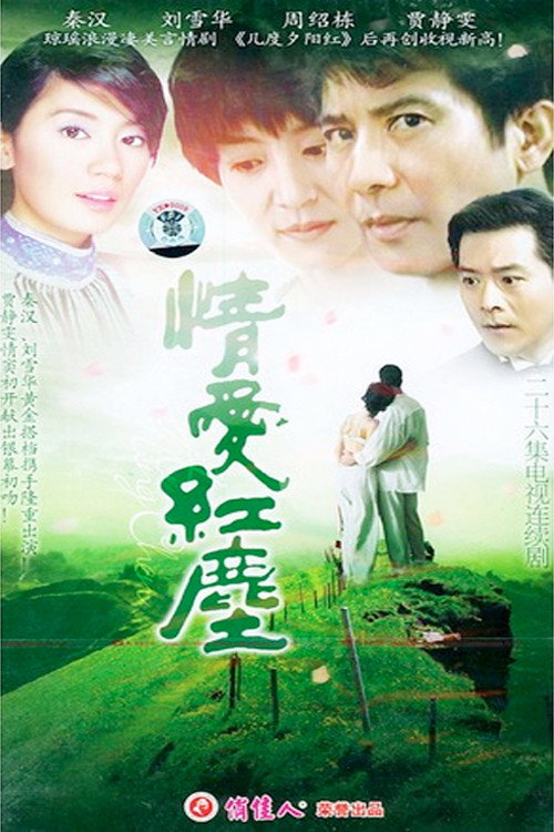 情爱红尘电影海报
