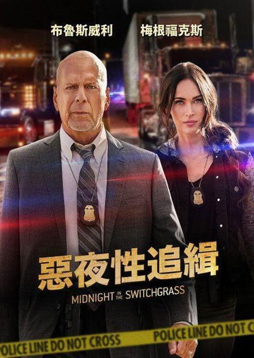 午夜的柳枝电影海报