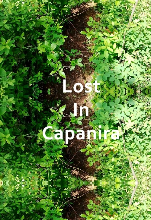 Lost In Capanira (2017) free movies HD