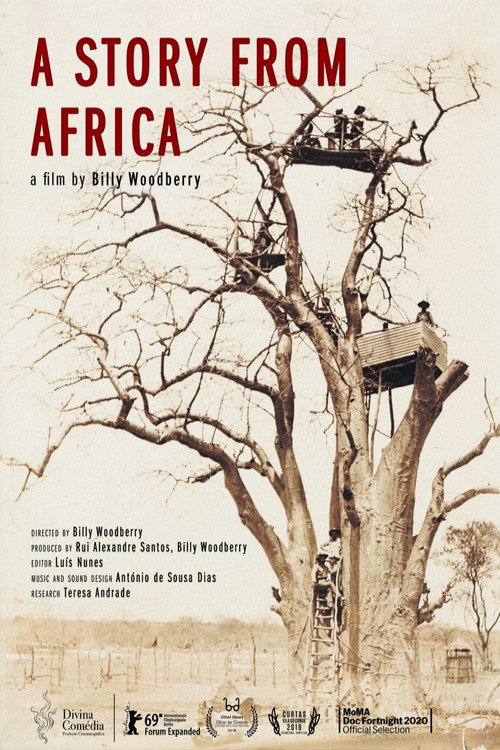 A Story from Africa poster 5