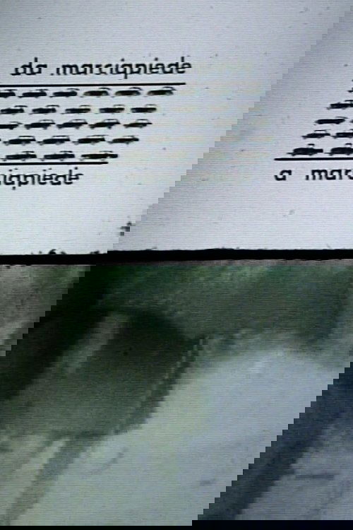 Attraversamenti: Da Marciapiede A Marciapiede
