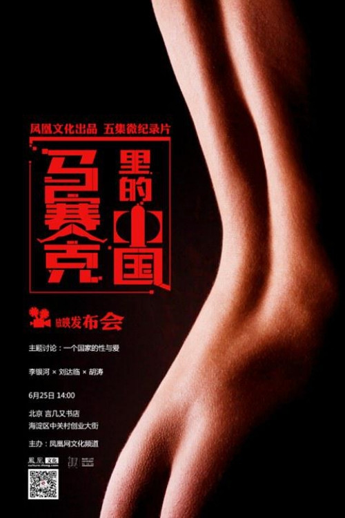 马赛克里的中国电影海报