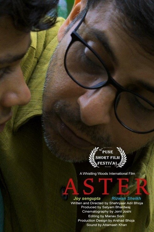 Aster Poster