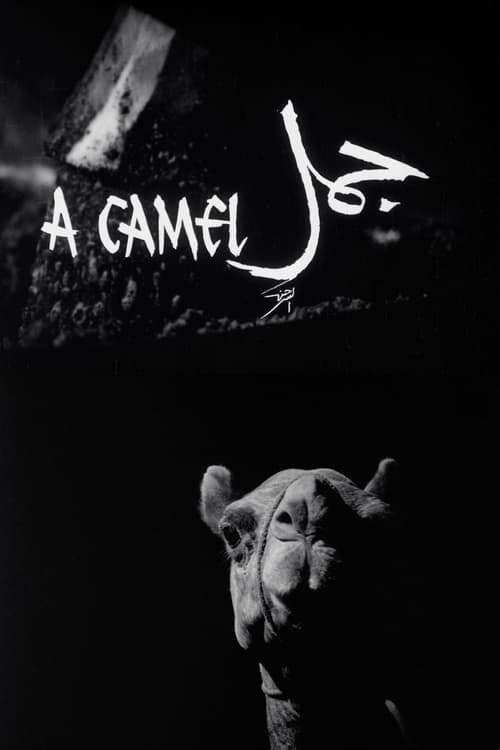 A+Camel