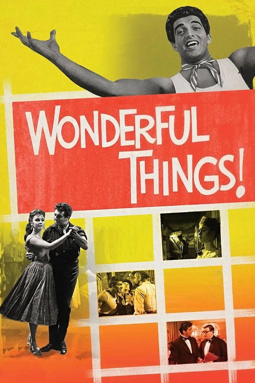 Wonderful Things poster 2