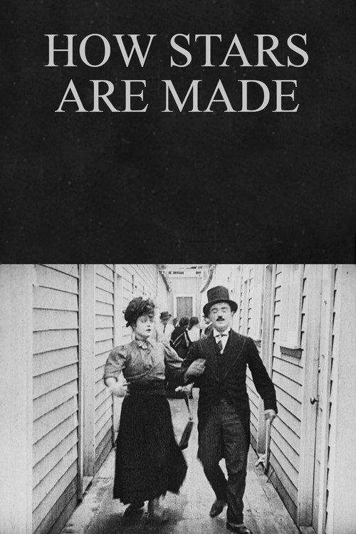How Stars are Made poster 2