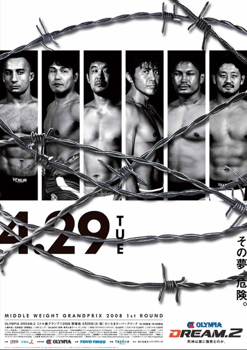 Dream 2 Poster