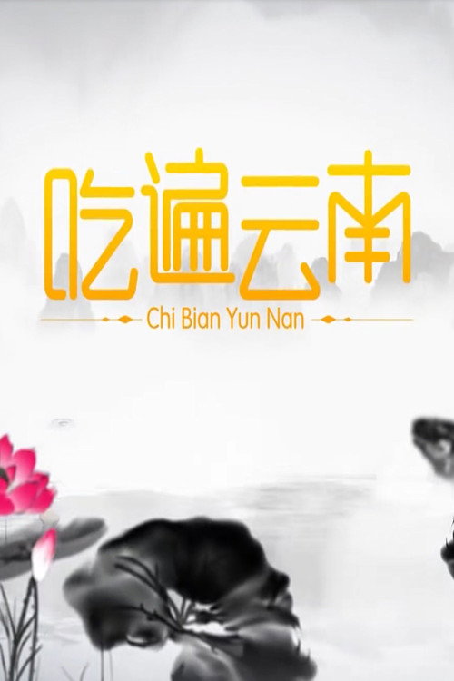 吃遍云南电影海报