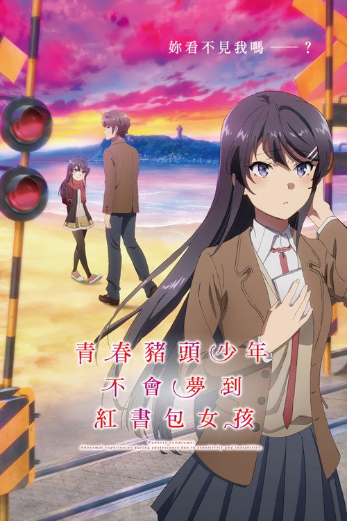 青春猪头少年不会梦到红书包女孩电影海报