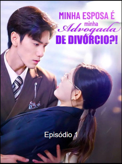 Minha Esposa e Minha Advogada de Divorcio?!电影海报