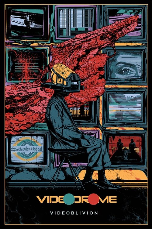 Videoblivion Poster