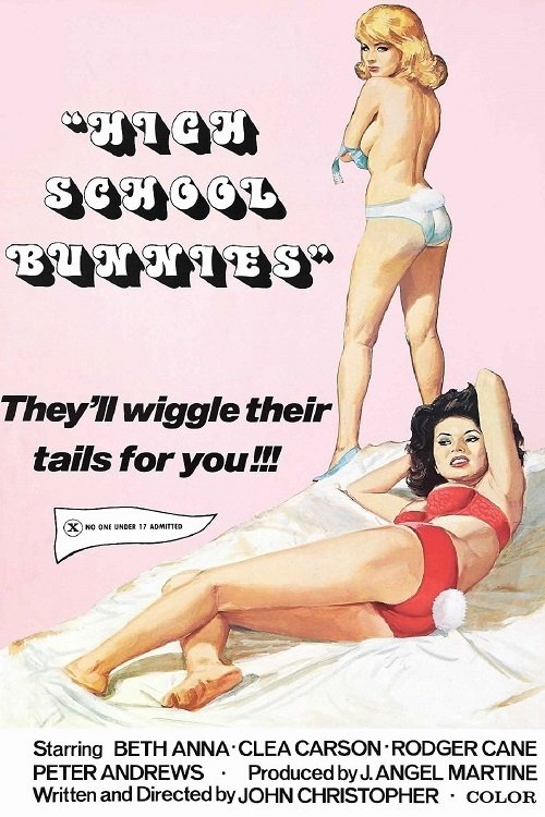 High School Bunnies Poster