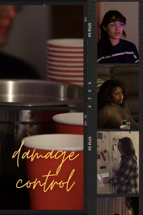 Damage Control's poster