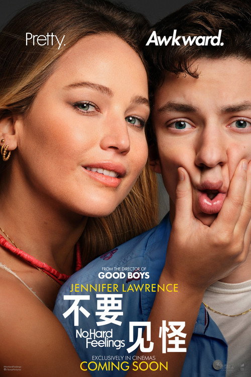 不要见怪电影海报