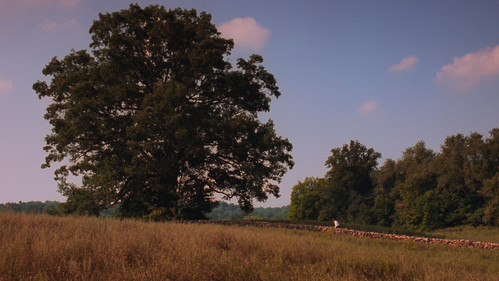 image91