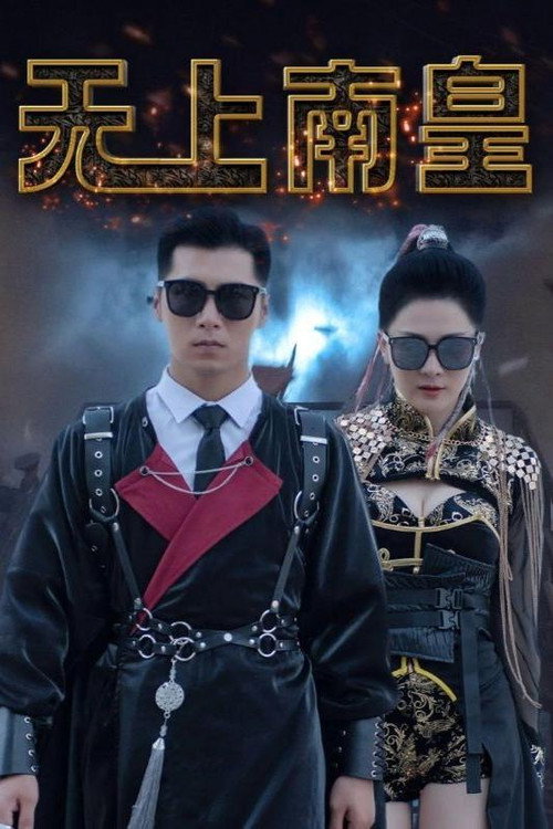 无上南皇电影海报