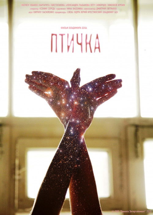 Little Bird 2014 Little Bird 2014