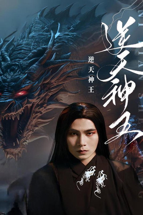 逆天神王海报
