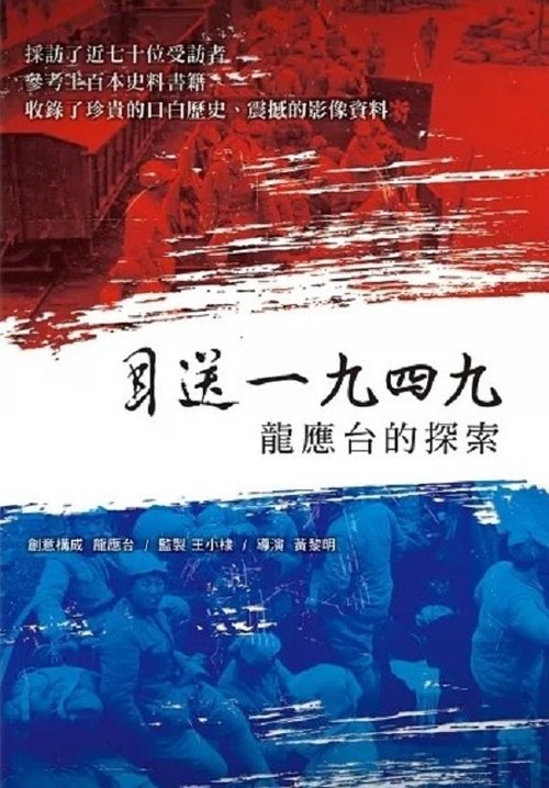目送一九四九:龍應台的探索 poster