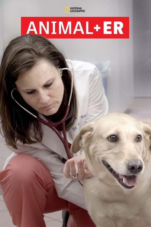 Poster of Animal ER