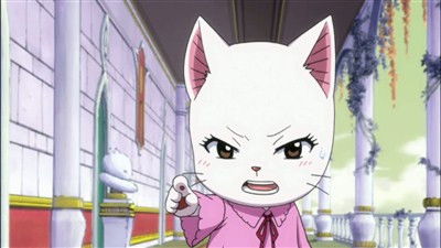 Fairy Tail - 35. Bölüm