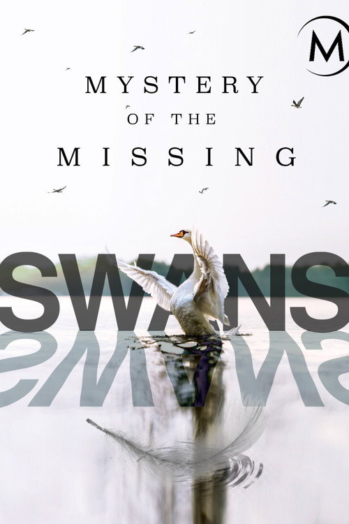 Swans: Mystery of the Missing Poster
