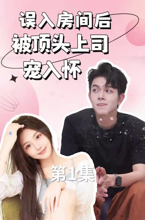 误入房间后，被顶头上司宠入怀电影海报