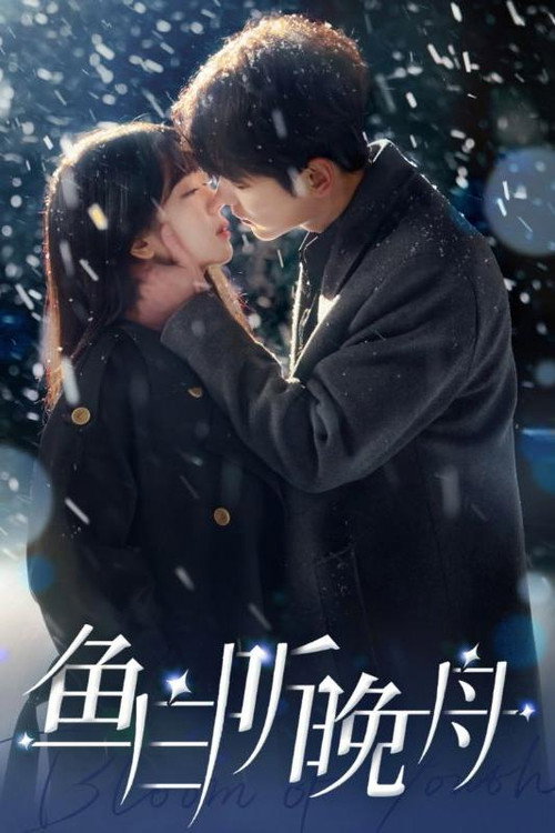 鱼白听晚舟海报