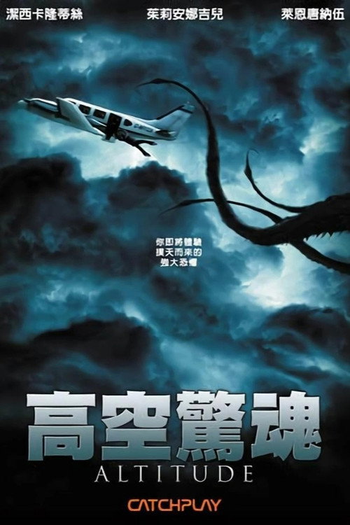 高空飞行电影海报