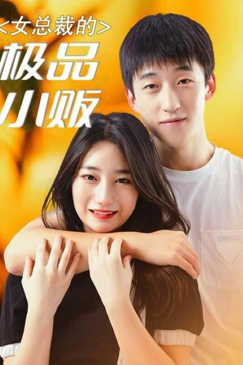 女总裁的极品小贩电影海报