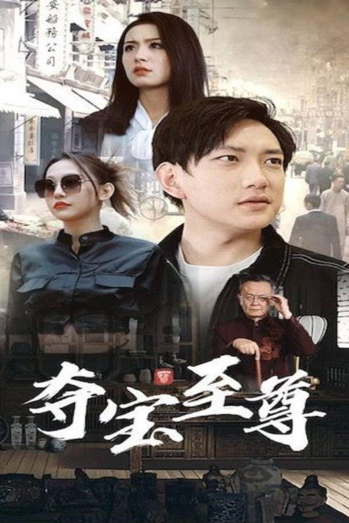 夺宝至尊电影海报