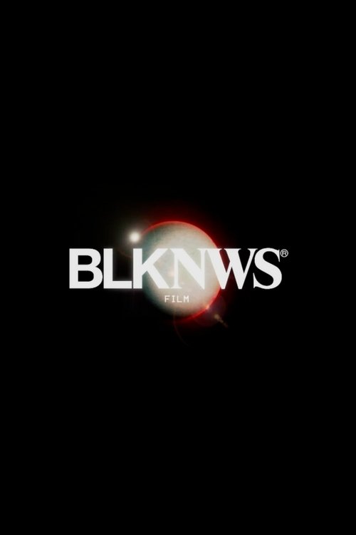 BLKNWS: Terms & Conditions Poster