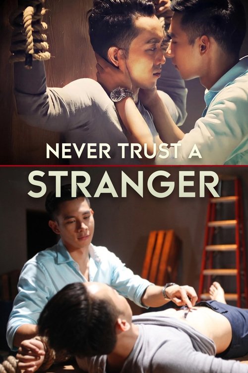 Poster of Never Trust a Stranger