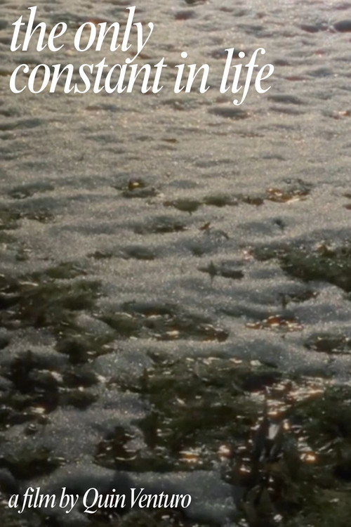 The Only Constant In Life