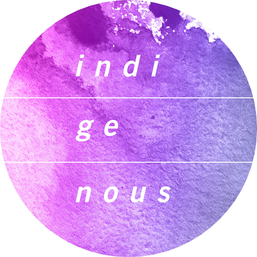Indigenous Media Logo