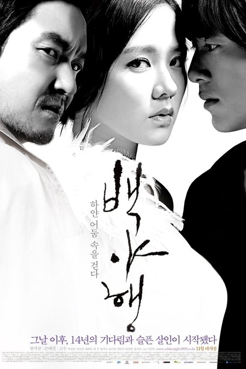 Background poster of 백야행: 하얀 어둠 속을 걷다 blurred