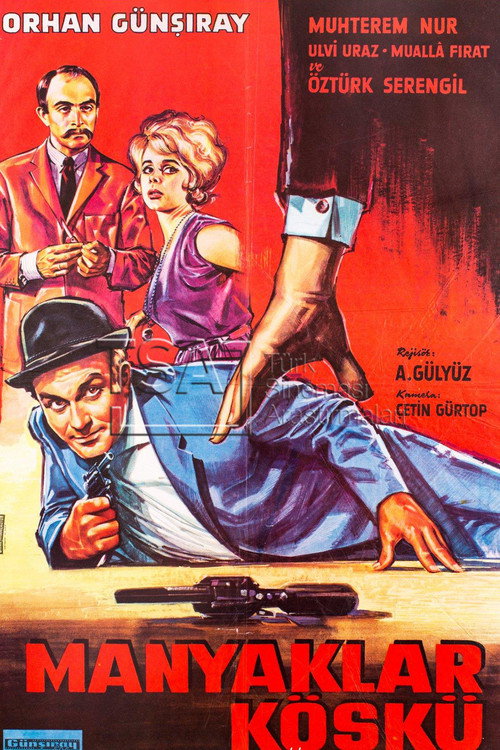The Maniacs' Villa poster 3