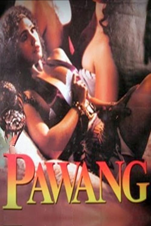 bekijk film Pawang (1995) (Nederlandse Versie)