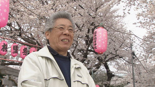 Tokyo in Springtime: The Taste of Tradition