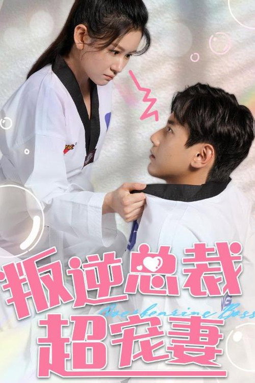 叛逆总裁超宠妻电影海报