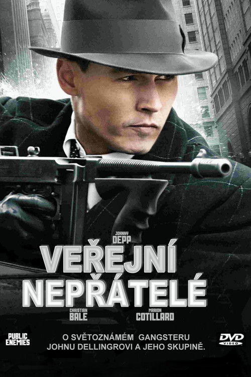 Veřejní nepřátelé (2009) s českými titulky