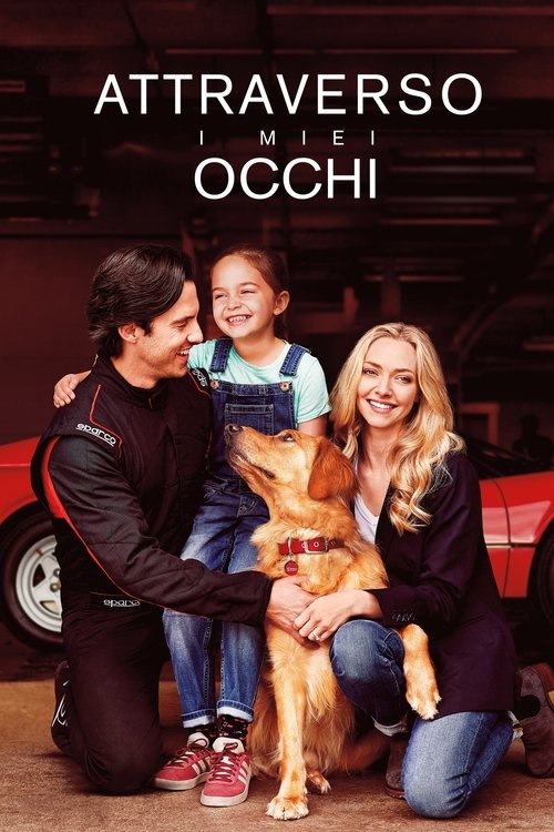 Attraverso i miei occhi (2019) Guarda lo streaming di film completo online